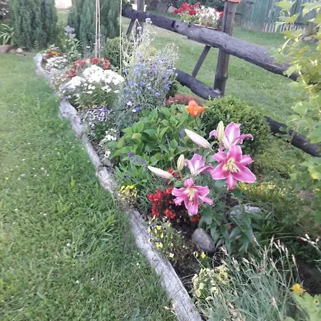 W Kwiatach Zyndaki
