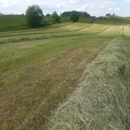 W Kwiatach Holiday home *