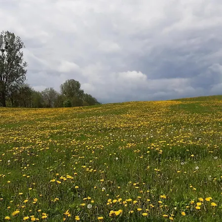 Holiday home W Kwiatach