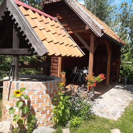 W Kwiatach * Zyndaki